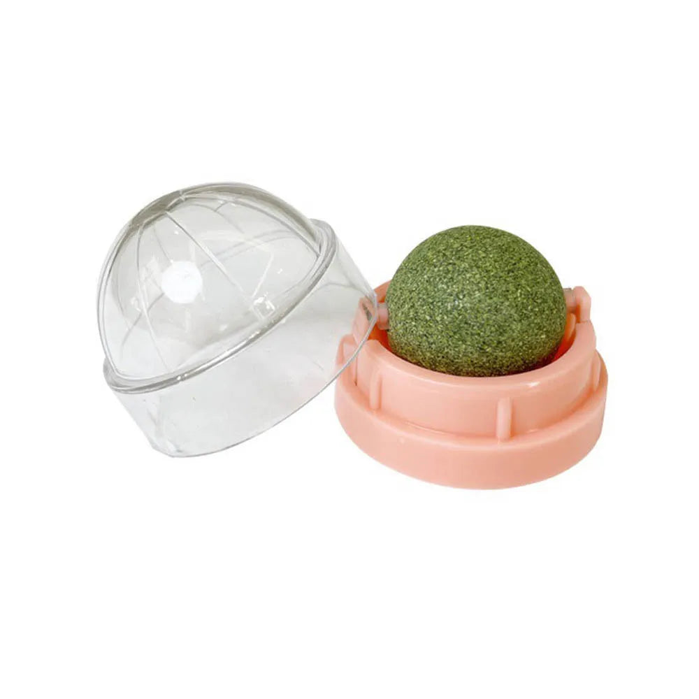Snack da Leccare per Gatti con erba gatta Naturale – Gioco e Benessere in Uno!