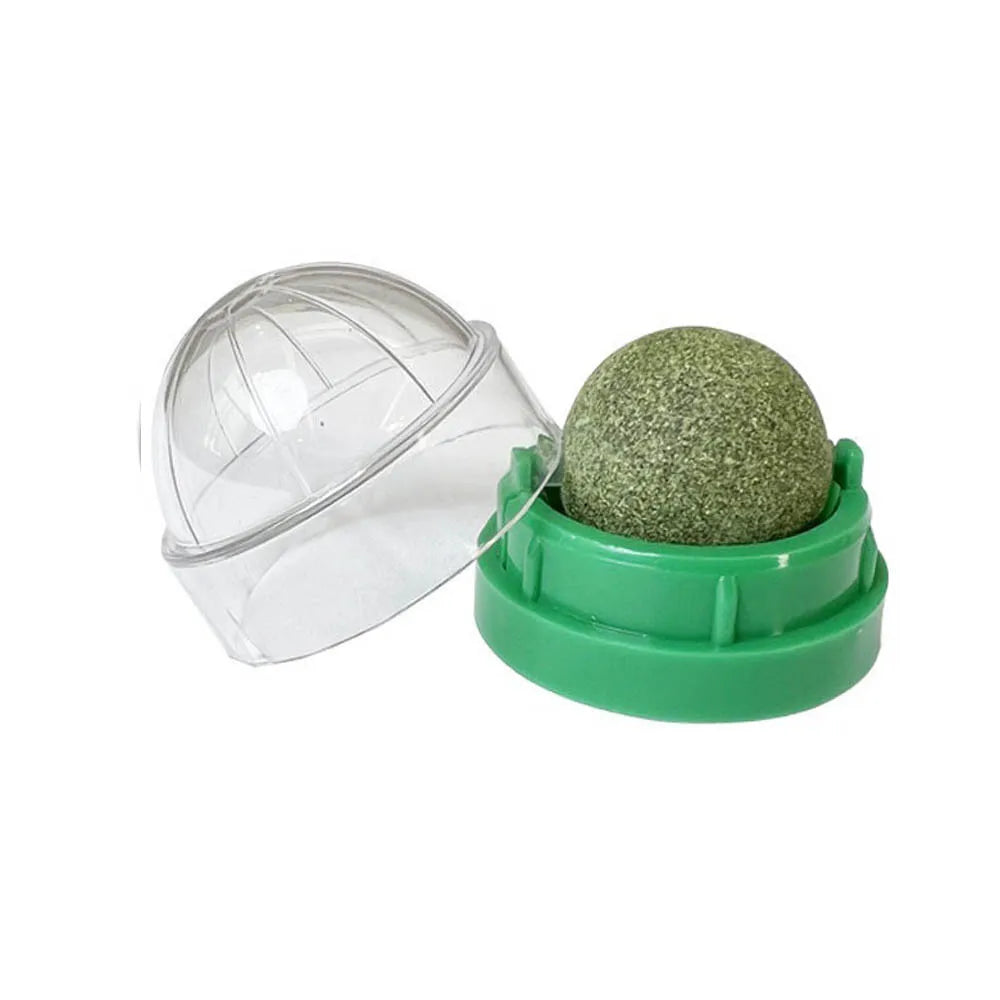 Snack da Leccare per Gatti con erba gatta Naturale – Gioco e Benessere in Uno!