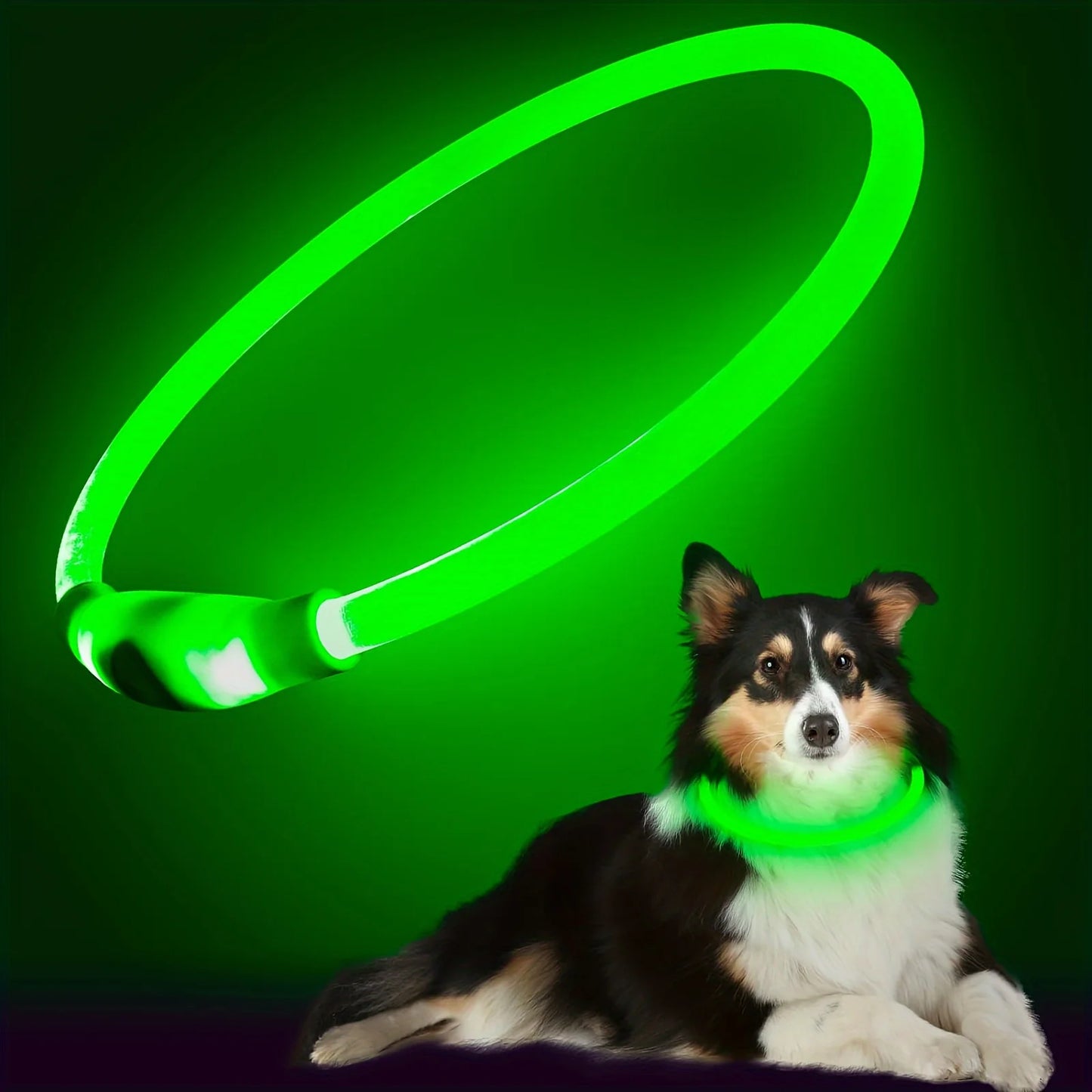 Collare Luminoso a LED per Cani – Ricaricabile USB, Visibilità Notturna, Antismarrimento
