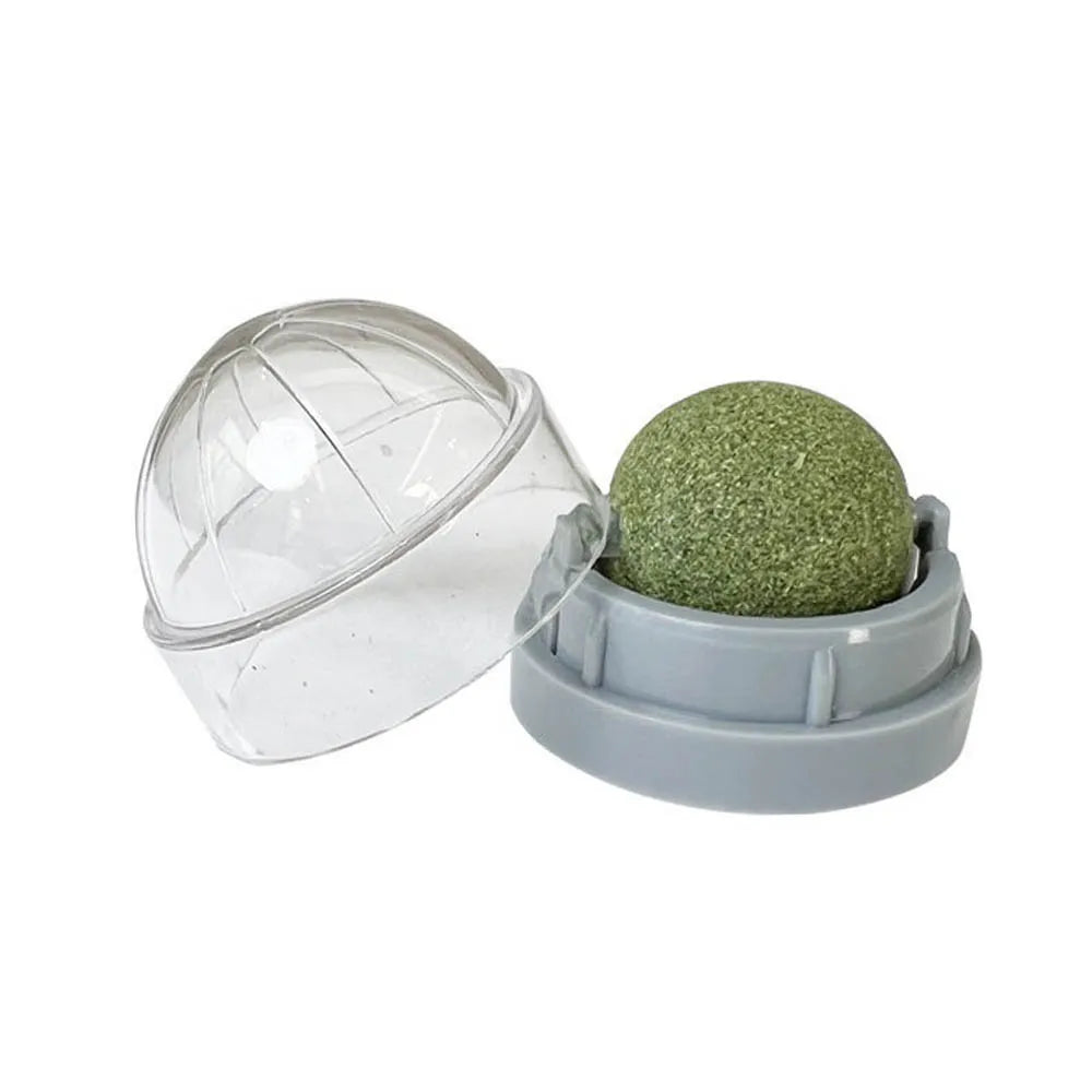 Snack da Leccare per Gatti con erba gatta Naturale – Gioco e Benessere in Uno!