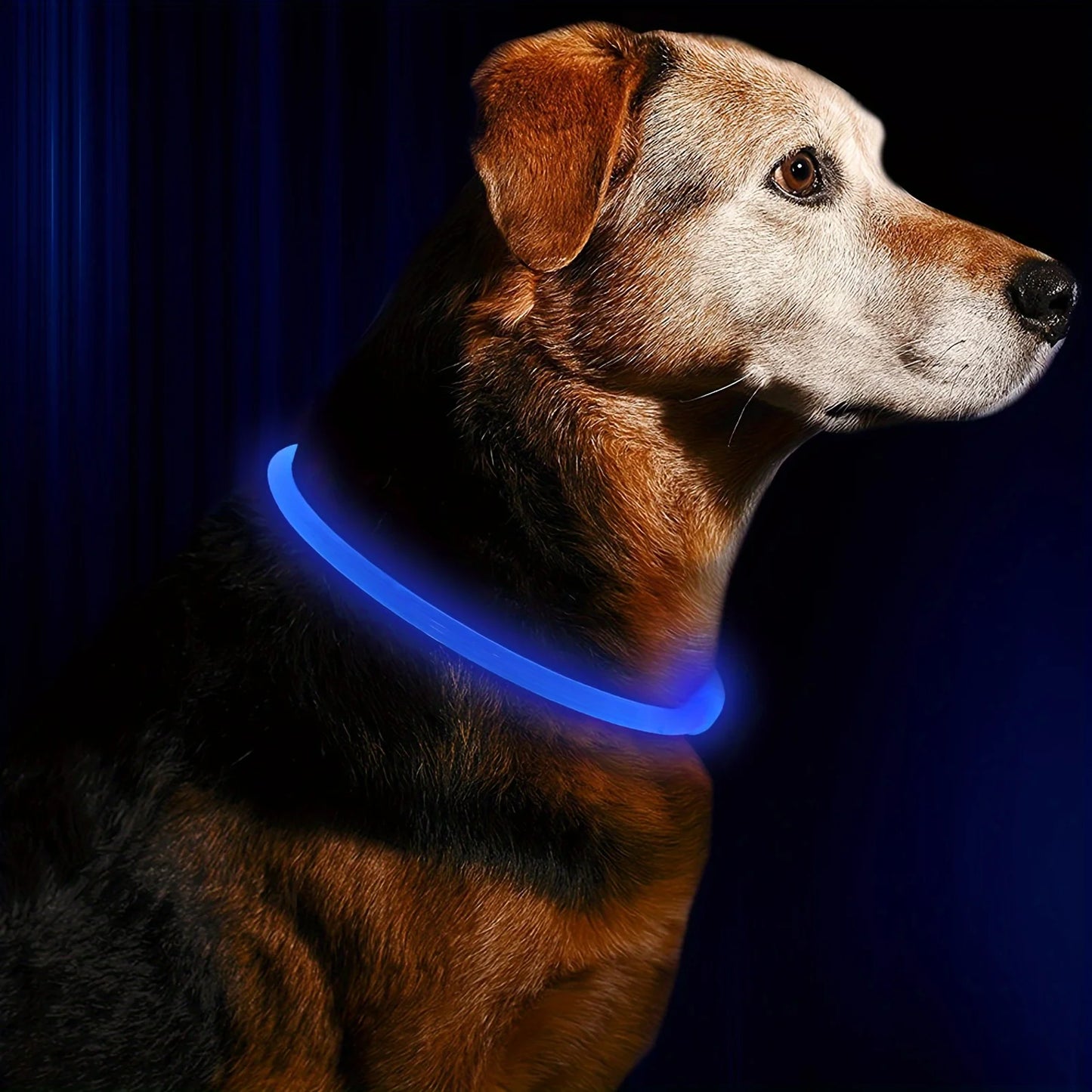 Collare Luminoso a LED per Cani – Ricaricabile USB, Visibilità Notturna, Antismarrimento