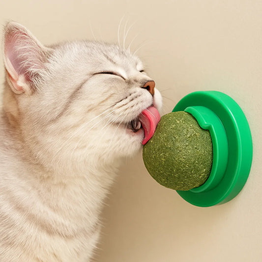 Snack da Leccare per Gatti con erba gatta Naturale – Gioco e Benessere in Uno!